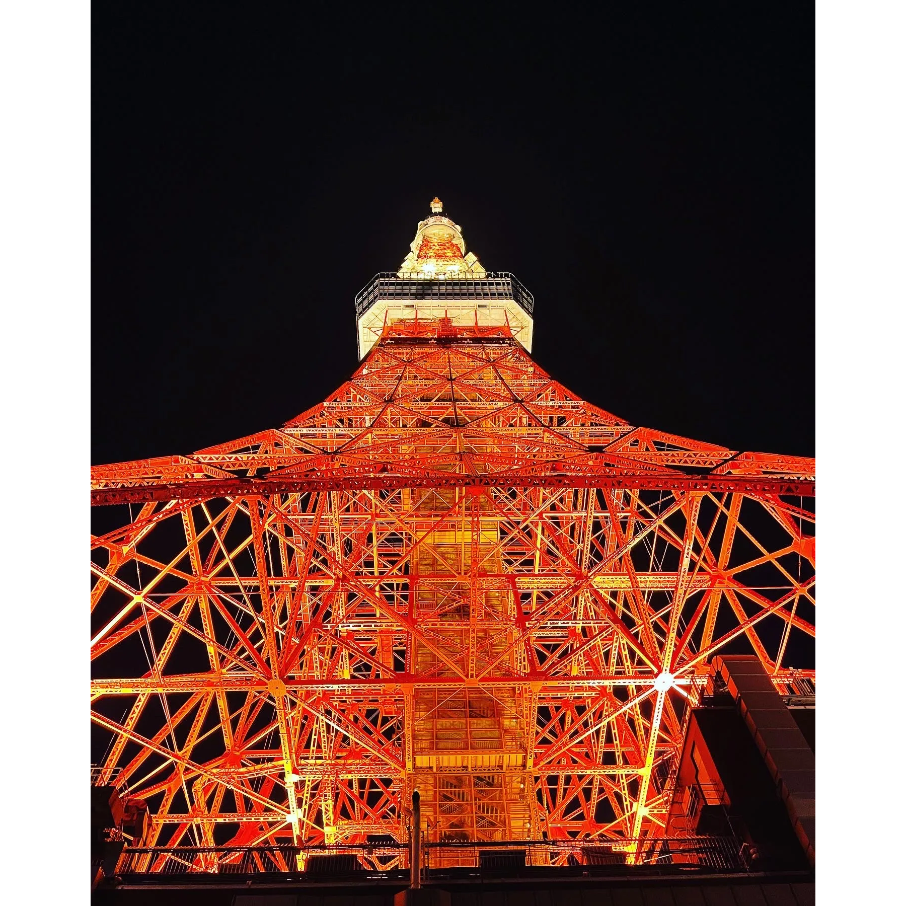 ☆Bセット 座show TokyoTower 『江戸椿〜EDO TSUBAKI〜』(東京タワー
