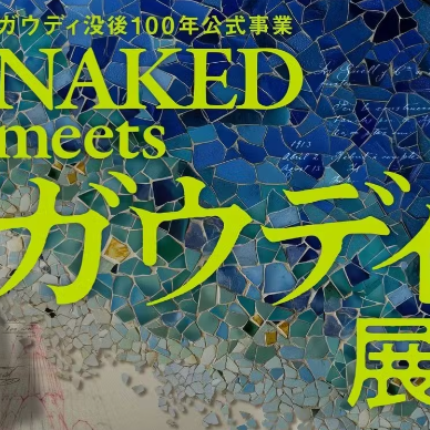 ガウディ没後100年公式事業 NAKED meets ガウディ展【大阪】のチケット